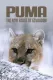 Cougar: On the Trail of the Ghost Cat