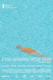 A Fish Swimming Upside Down