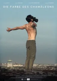 The Color of a Chameleon