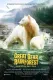 Great Bear Rainforest: Land of the Spirit Bear