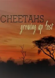 Natural World: Cheetahs - Growing Up Fast