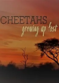 Natural World: Cheetahs - Growing Up Fast