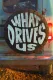 What Drives Us