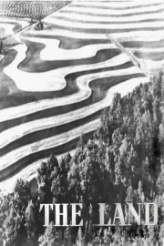 Land, The