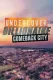 Undercover Billionaire: Comeback City