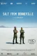 Salt from Bonneville