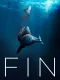 Fin