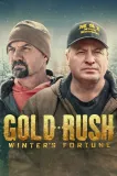 Gold Rush: Winter's Fortune