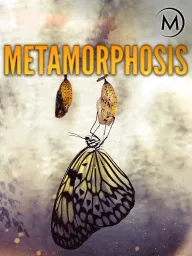 Metamorphosis