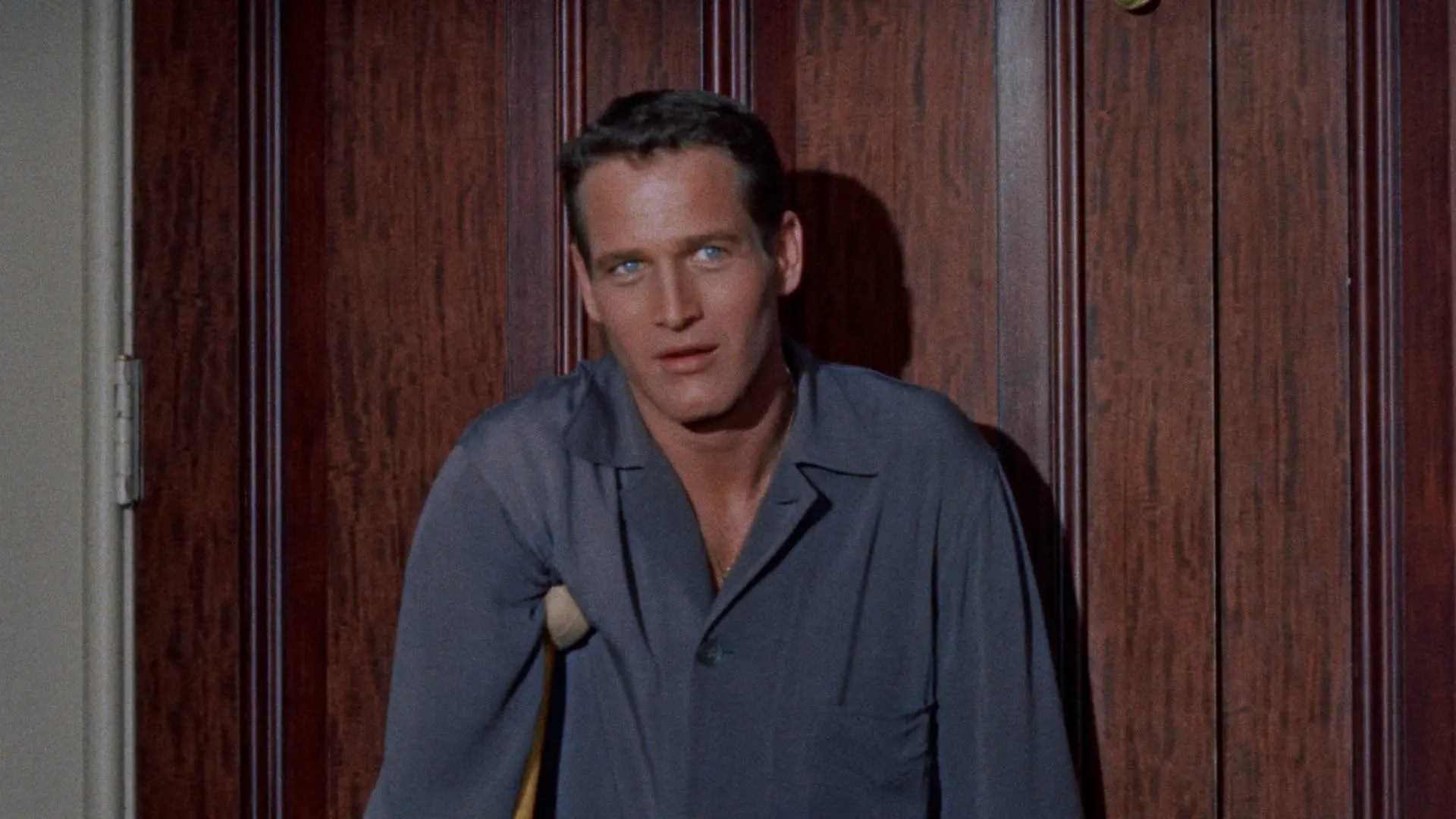 Kočka na rozpálené plechové střeše