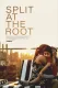 Split at the Root