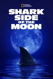 Shark Side of the Moon