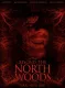 Beyond the North Woods