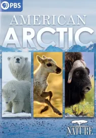Nature: American Arctic