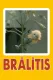 Bralitis
