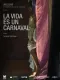 La vida es un carnaval