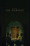 The Harvest