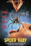 Spider Baby