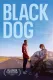 Black Dog