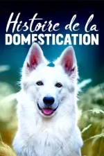 Zkrocení zlé zvěře