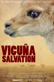 Vicuña Salvation