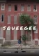 SQUEEGEE