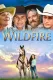 Wildfire