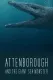 Attenborough and the Giant Sea Monster