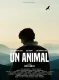 An Animal