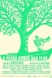 A pedra sonha dar flor