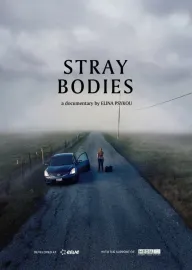 Stray Bodies