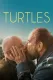 Turtles