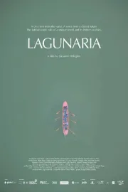 Lagunaria