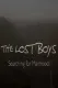 The Lost Boys: Searching for Manhood