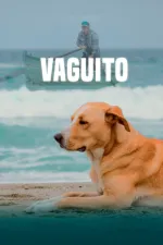Vaguito
