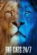 Big Cats 24/7