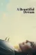 A Beautiful Dream