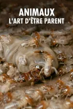 Rodiče v divočině