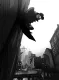 Untitled live-action Spider-Man Noir