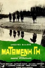 Matomeni gi
