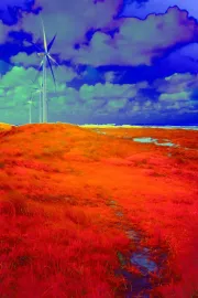 Panorama Tata – A Plumed Serpent's View