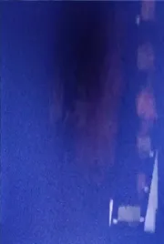 Kevin Casciani Nolan