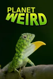 Planet Weird