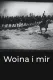 Woina i Mir