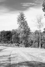 Images of a New Home