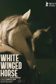 White Winged Horse