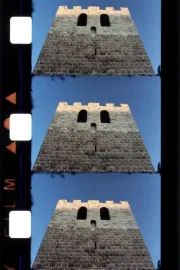 Cinq films d’août