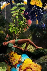 Trava Minguante, Trava Crescente