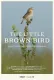 The Little Brown Bird