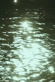 La casa y lo telúrico